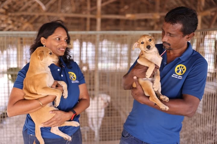The PAWS Chennai team with rescued animals