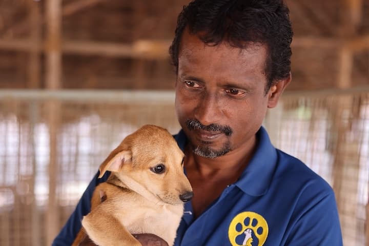 The PAWS Chennai team with rescued animals